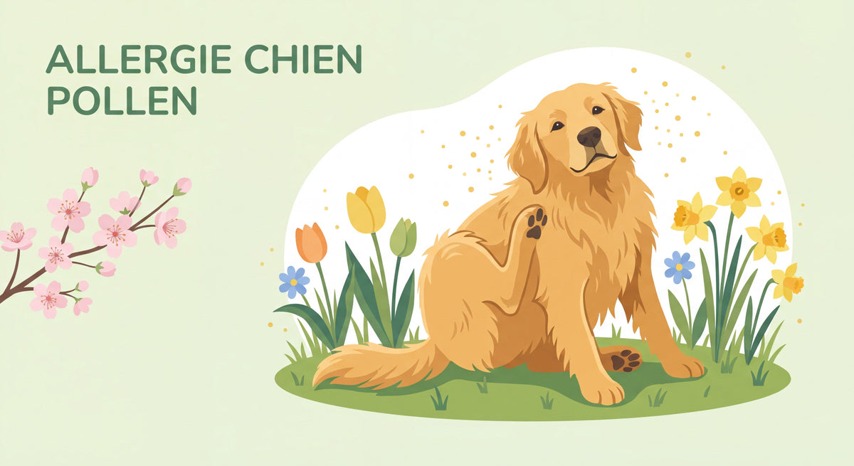 🐾 Allergie chien printemps : comment soulager votre animal avec la phytothérapie