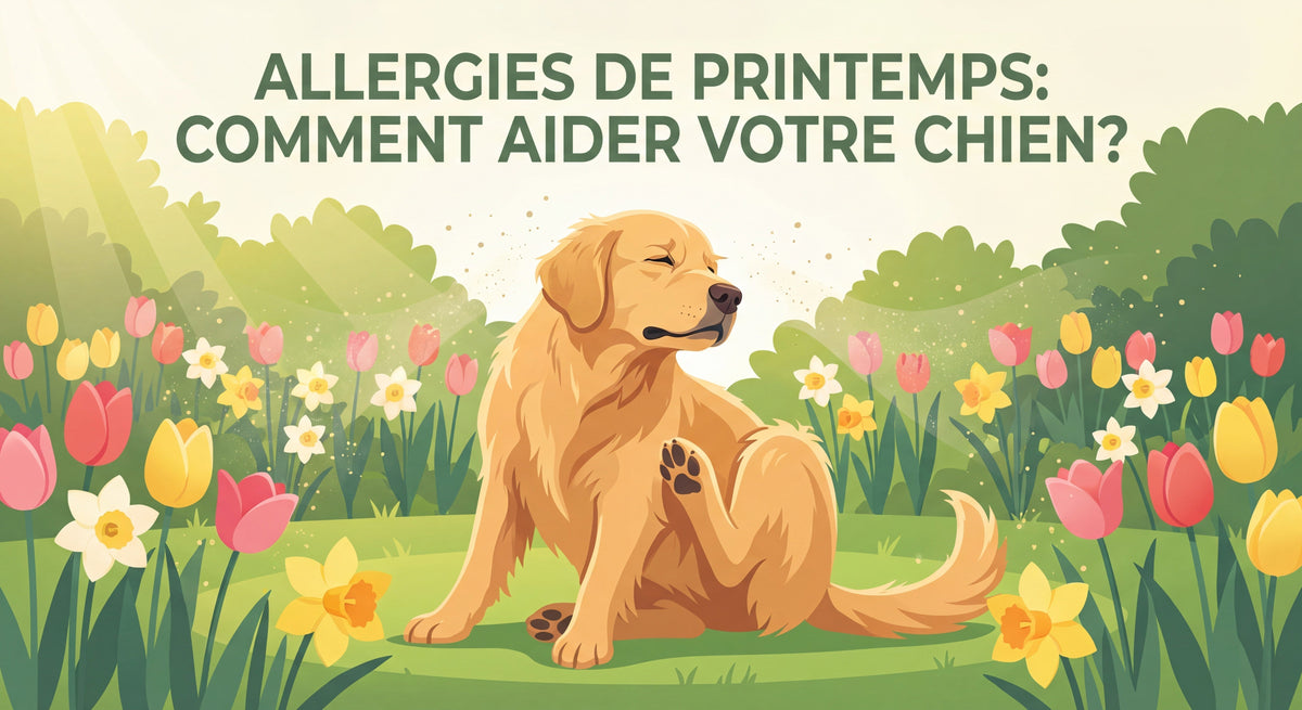 Allergie Chien & Chat au Printemps : Soulager Naturellement avec la Phytothérapie