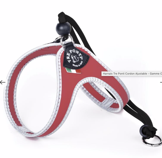 HARNAIS AJUSTABLE EASY FIT TREPONTI TAILLE 1 CHIOT ET PETIT CHIEN