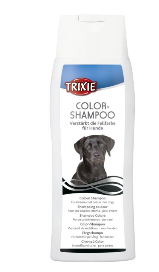 Shampoing couleur pour chiens