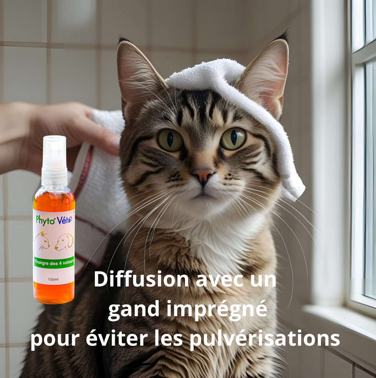 Vinaigre des 4 voleurs - 100ml