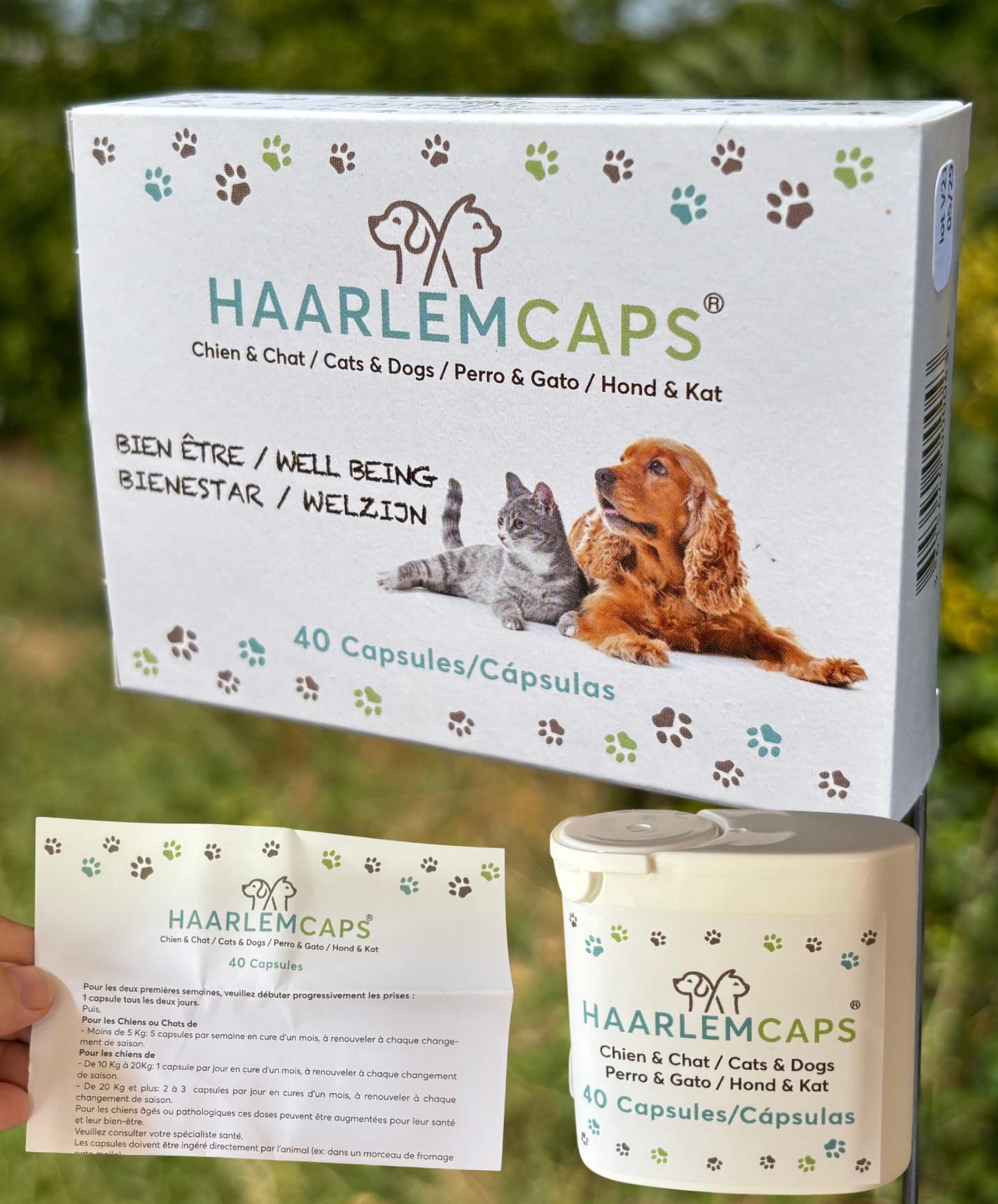 Huile de Haarlem Chat & Chien – Cure Bien-être | Phyto Véto