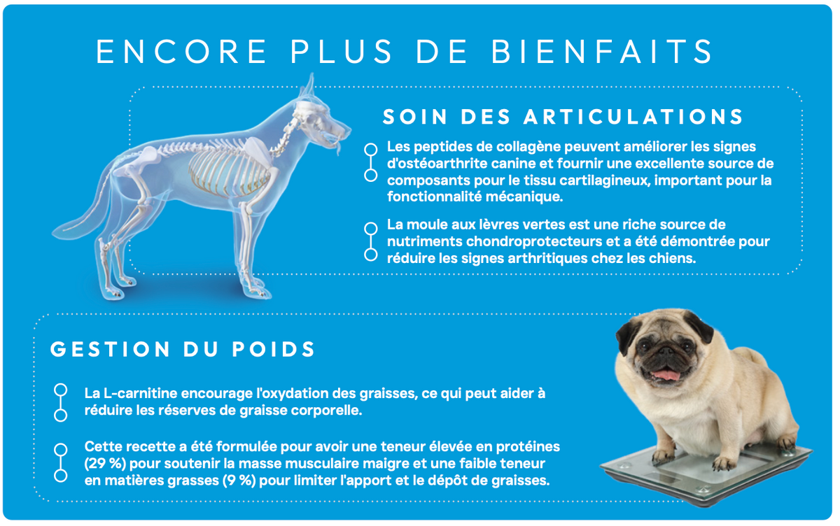 Croquettes NATURELLES Peptide+ Poids & Articulations