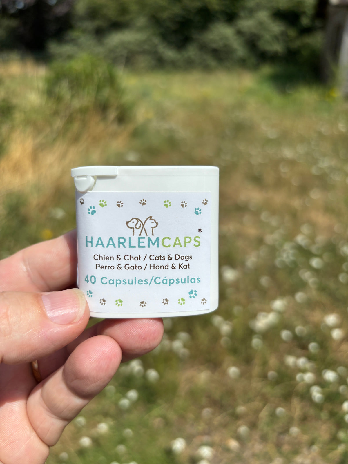 Huile de Haarlem Chat & Chien – Cure Bien-être | Phyto Véto