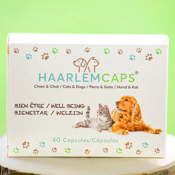 Huile de Haarlem Chat & Chien – Cure Bien-être | Phyto Véto