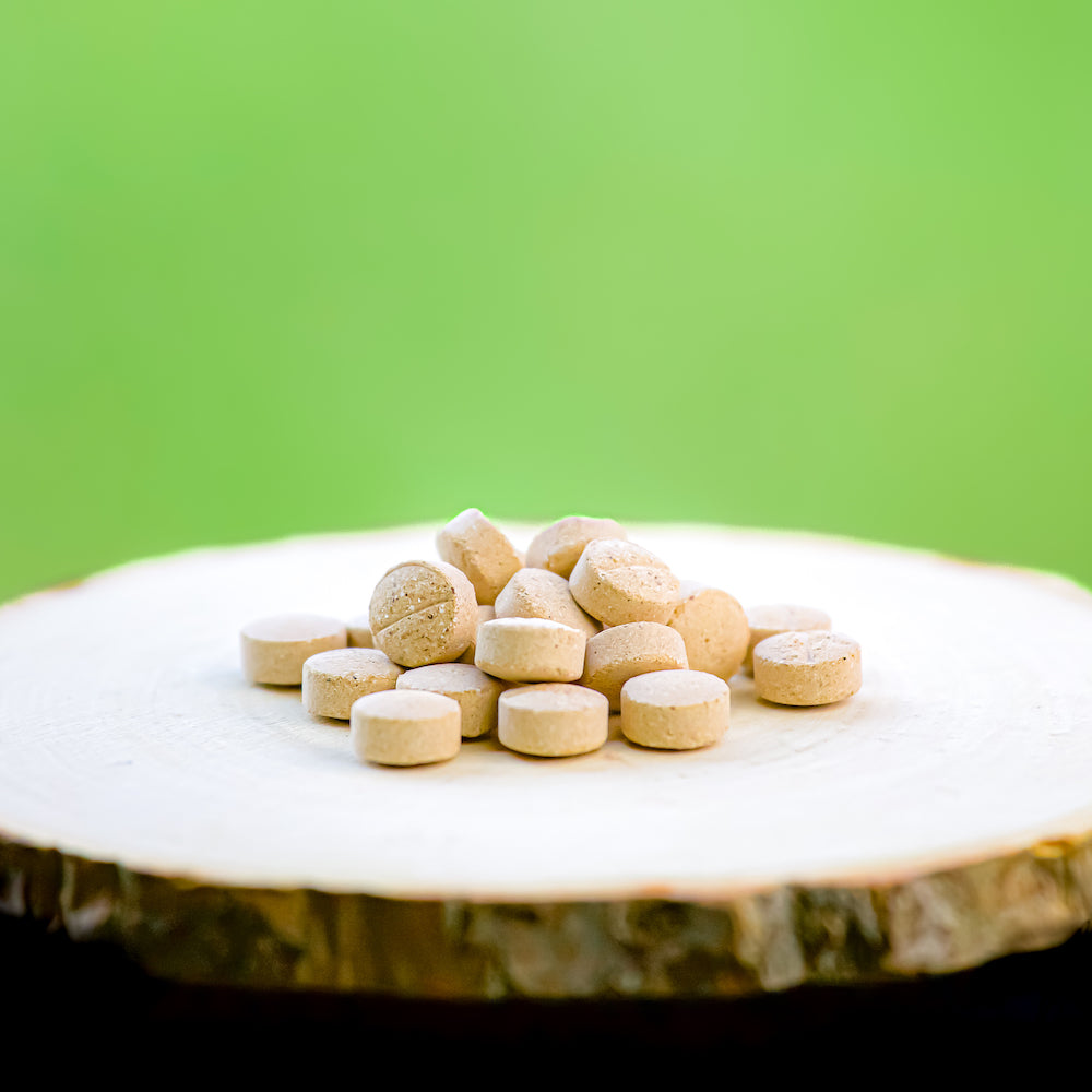 Stop Vers Naturel Chat & Chien – Phyto Véto